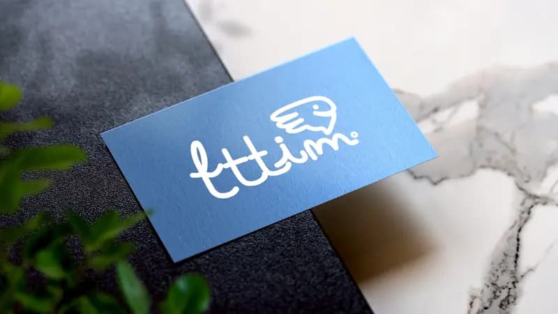 飛是藍 fttim